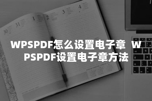 WPSPDF怎么设置电子章  WPSPDF设置电子章方法