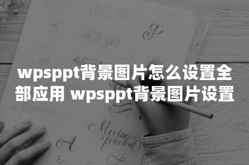 wpsppt背景图片怎么设置全部应用 wpsppt背景图片设置全部应用方法