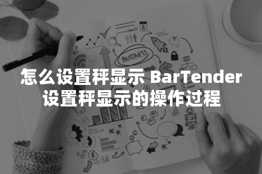 怎么设置秤显示 BarTender设置秤显示的操作过程