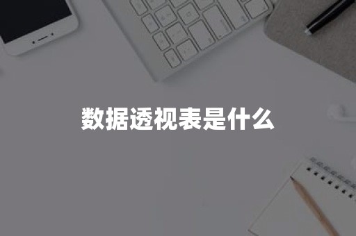 数据透视表是什么