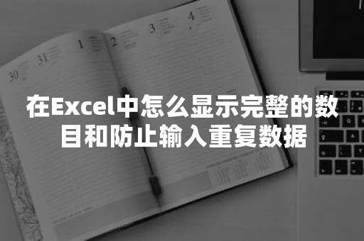 在Excel中怎么显示完整的数目和防止输入重复数据