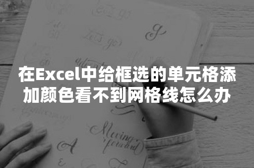 在Excel中给框选的单元格添加颜色看不到网格线怎么办