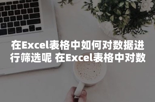 在Excel表格中如何对数据进行筛选呢 在Excel表格中对数据进行筛选方法