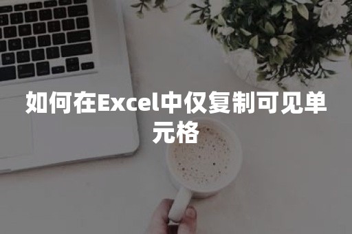 如何在Excel中仅复制可见单元格