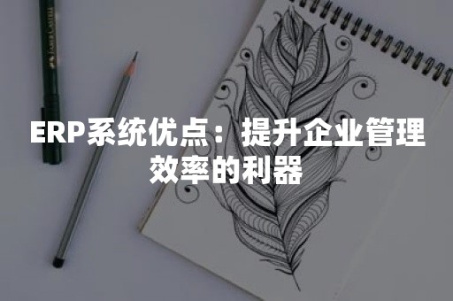 ERP系统优点：提升企业管理效率的利器