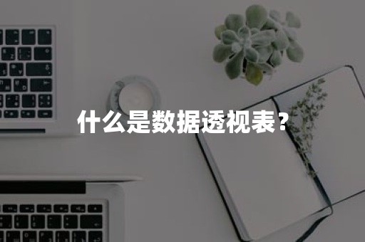 什么是数据透视表？