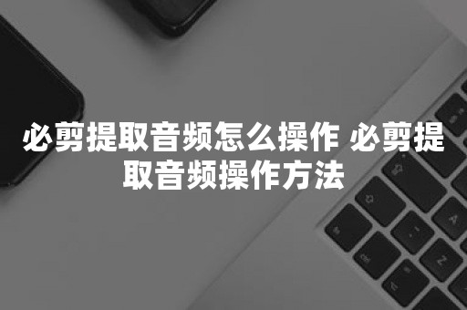 必剪提取音频怎么操作 必剪提取音频操作方法