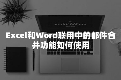 Excel和Word联用中的邮件合并功能如何使用