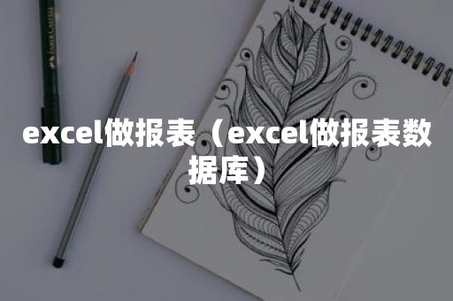 excel做报表（excel做报表数据库）