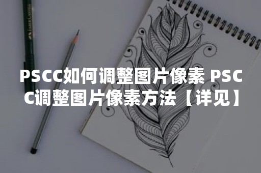 PSCC如何调整图片像素 PSCC调整图片像素方法【详见】