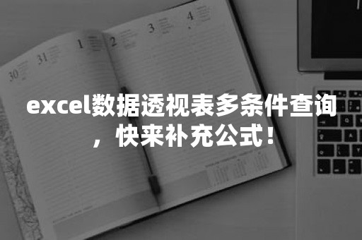 excel数据透视表多条件查询，快来补充公式！