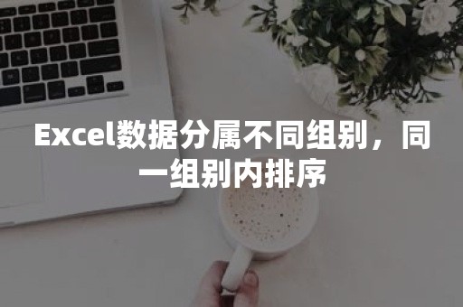 Excel数据分属不同组别，同一组别内排序