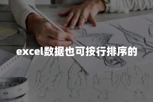 excel数据也可按行排序的