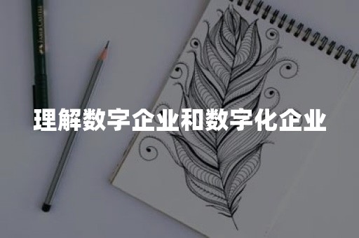 理解数字企业和数字化企业