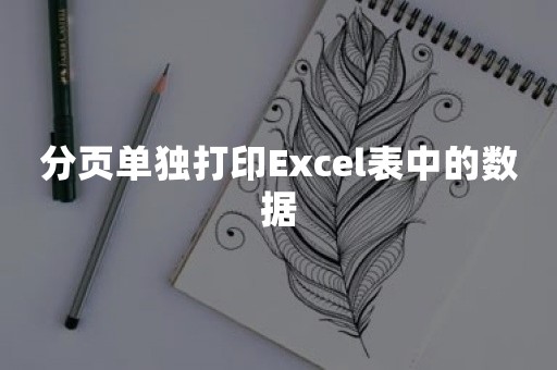 分页单独打印Excel表中的数据