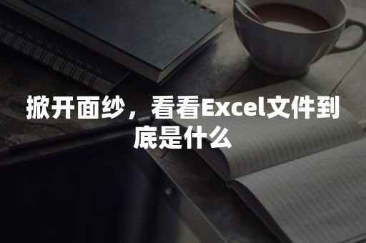 掀开面纱，看看Excel文件到底是什么