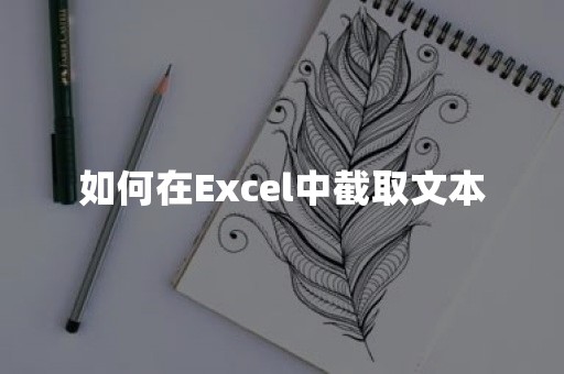 如何在Excel中截取文本