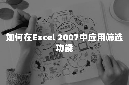 如何在Excel 2007中应用筛选功能