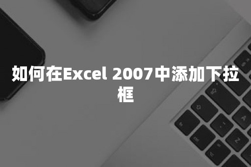 如何在Excel 2007中添加下拉框