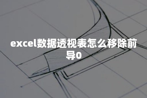 excel数据透视表怎么移除前导0