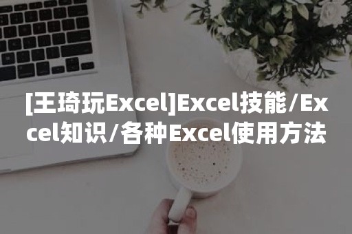 [王琦玩Excel]Excel技能/Excel知识/各种Excel使用方法