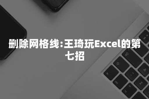 删除网格线:王琦玩Excel的第七招