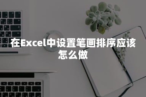 在Excel中设置笔画排序应该怎么做