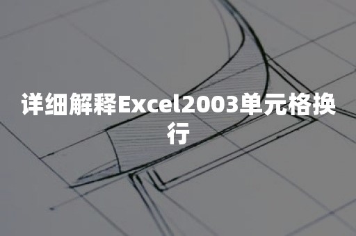 详细解释Excel2003单元格换行