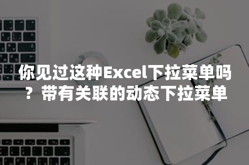 你见过这种Excel下拉菜单吗？带有关联的动态下拉菜单