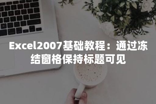 Excel2007基础教程：通过冻结窗格保持标题可见