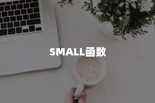 SMALL函数