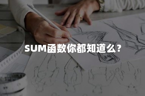 SUM函数你都知道么？