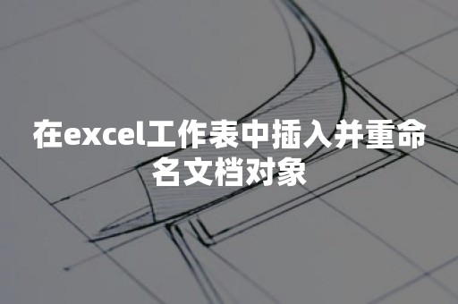 在excel工作表中插入并重命名文档对象