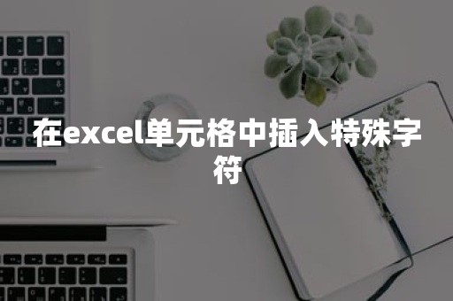 在excel单元格中插入特殊字符