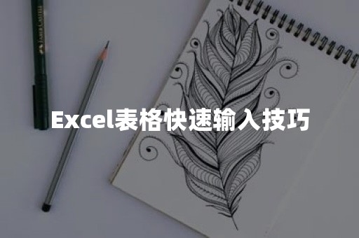 Excel表格快速输入技巧