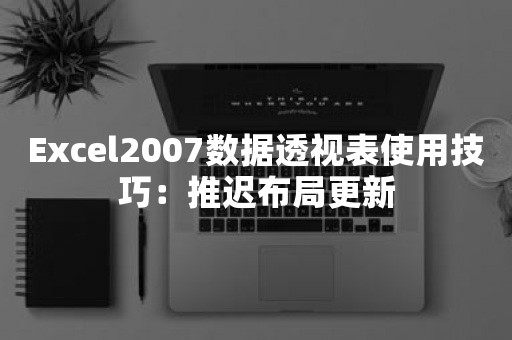 Excel2007数据透视表使用技巧：推迟布局更新