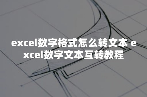 excel数字格式怎么转文本 excel数字文本互转教程