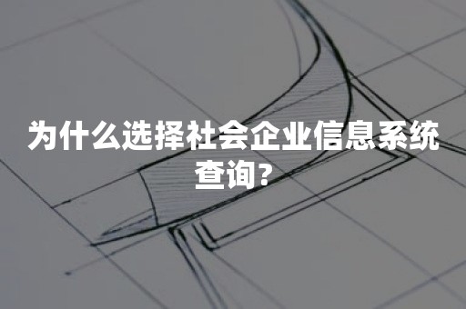 为什么选择社会企业信息系统查询?