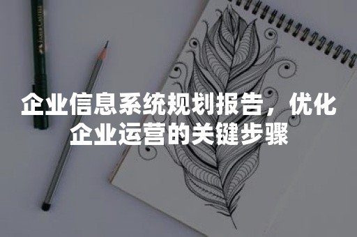 企业信息系统规划报告，优化企业运营的关键步骤