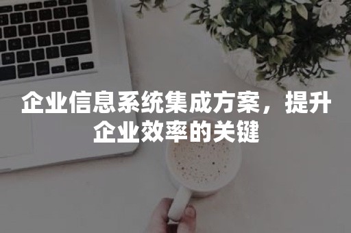 企业信息系统集成方案，提升企业效率的关键