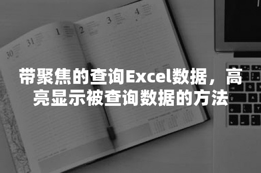 带聚焦的查询Excel数据，高亮显示被查询数据的方法