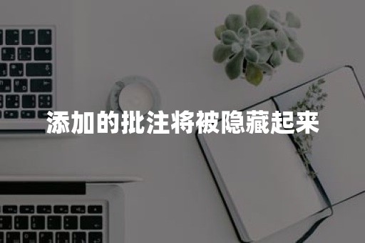 添加的批注将被隐藏起来