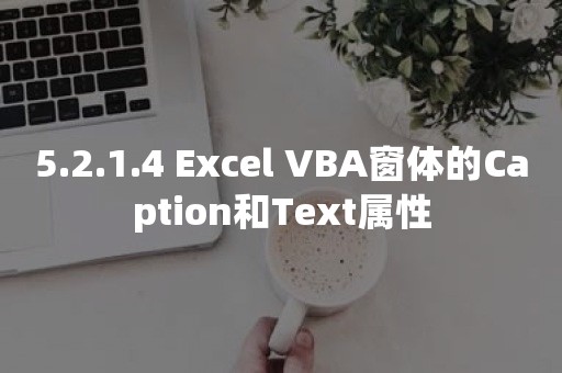 5.2.1.4 Excel VBA窗体的Caption和Text属性