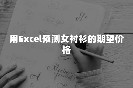 用Excel预测女衬衫的期望价格