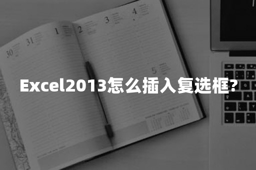 Excel2013怎么插入复选框?