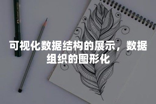 可视化数据结构的展示，数据组织的图形化