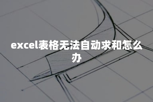 excel表格无法自动求和怎么办