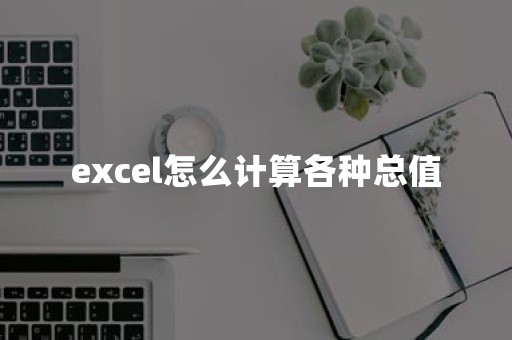 excel怎么计算各种总值