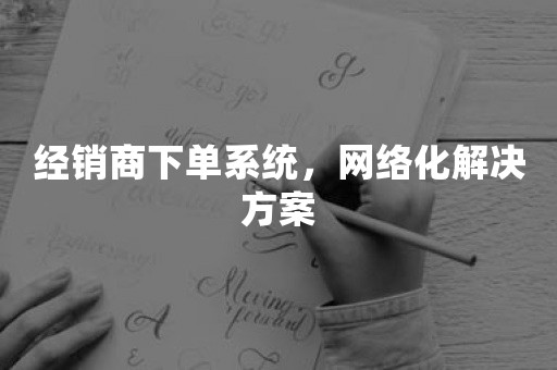 经销商下单系统，网络化解决方案