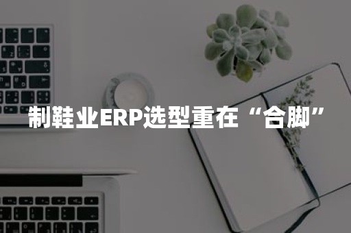 制鞋业ERP选型重在“合脚”